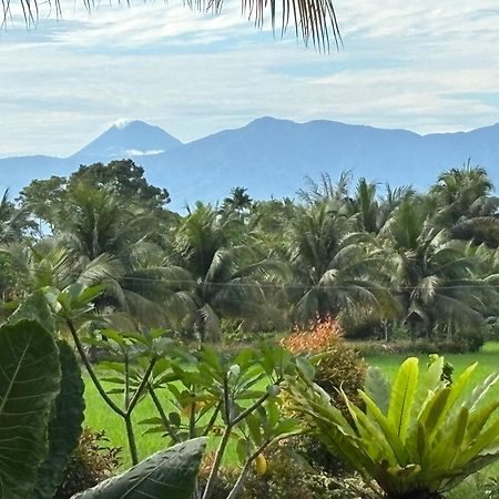 Sumatra Expedition Lodge 武吉拉旺 外观 照片