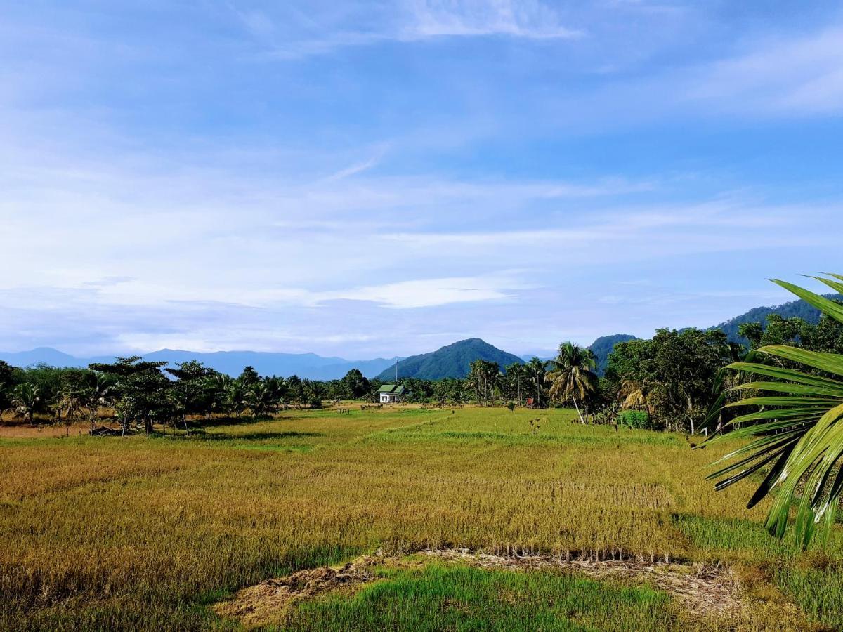 Sumatra Expedition Lodge 武吉拉旺 外观 照片