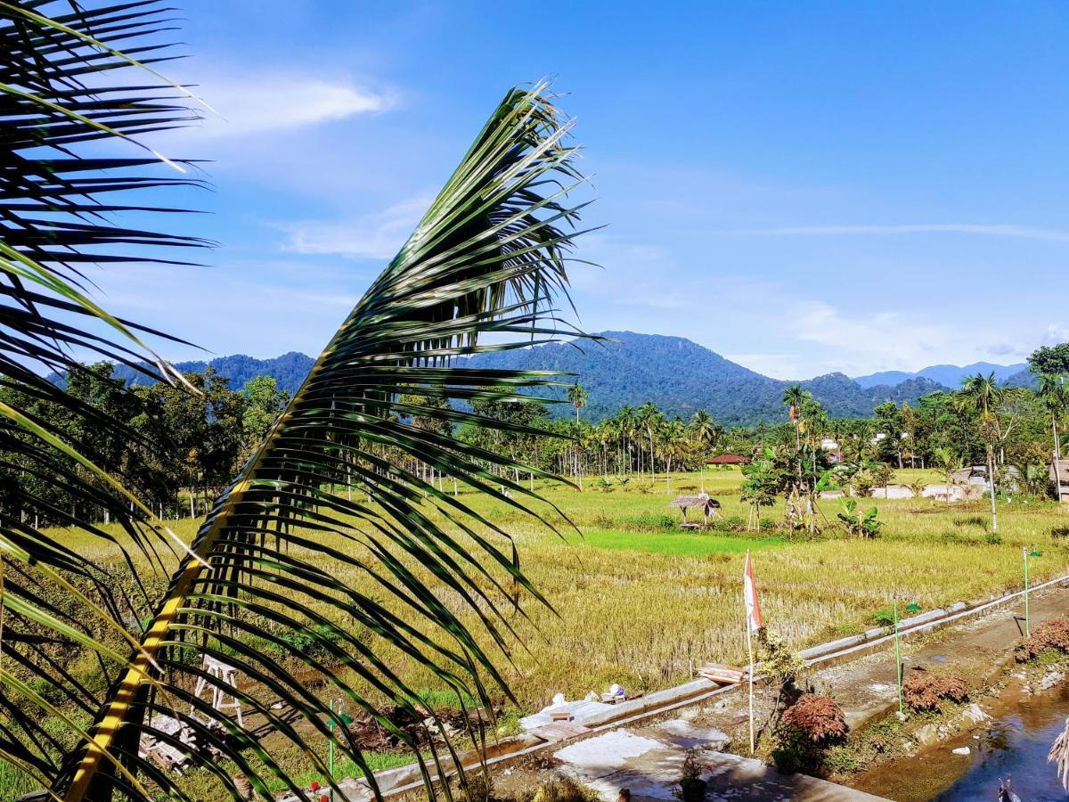 Sumatra Expedition Lodge 武吉拉旺 外观 照片