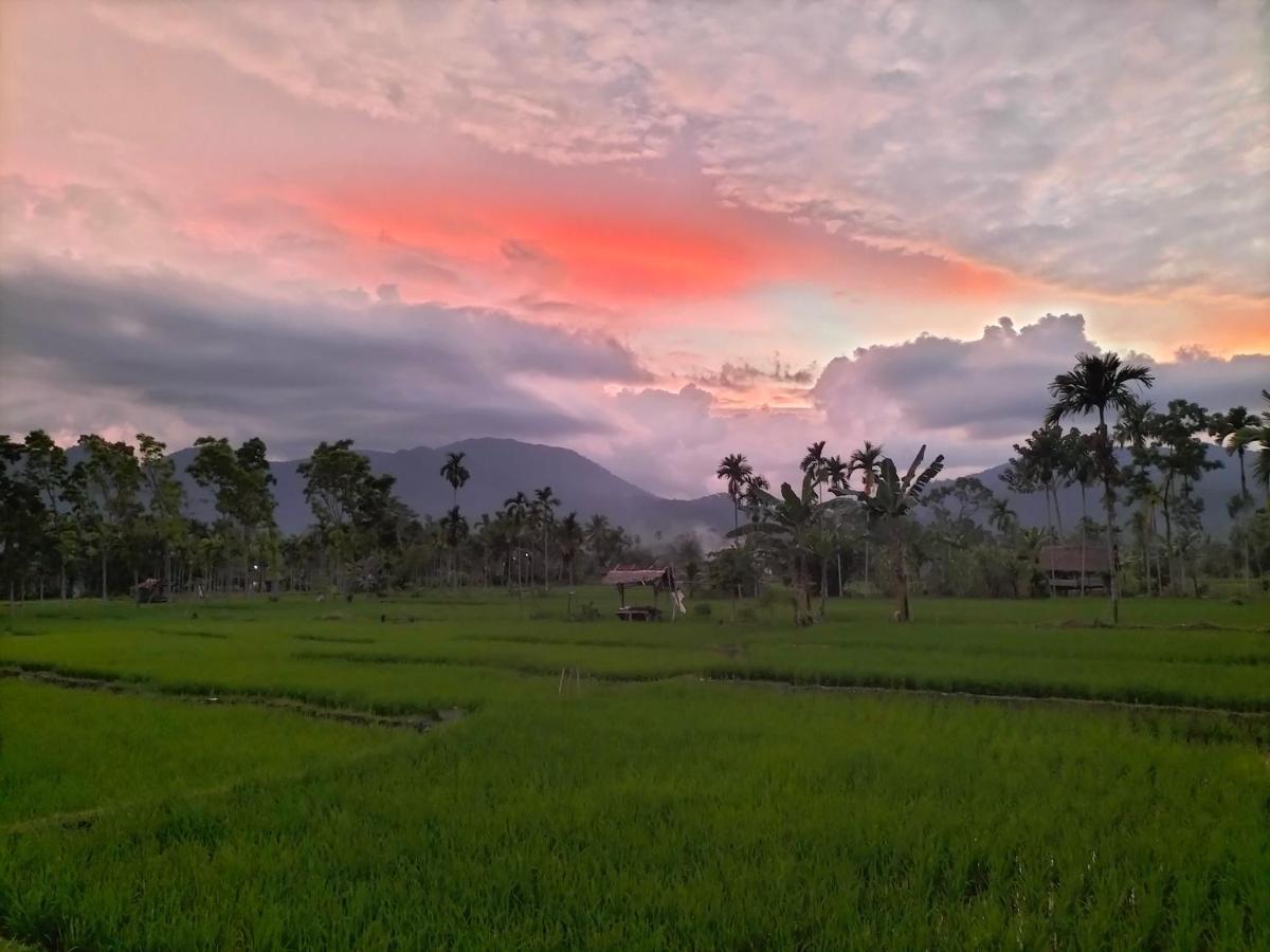 Sumatra Expedition Lodge 武吉拉旺 外观 照片