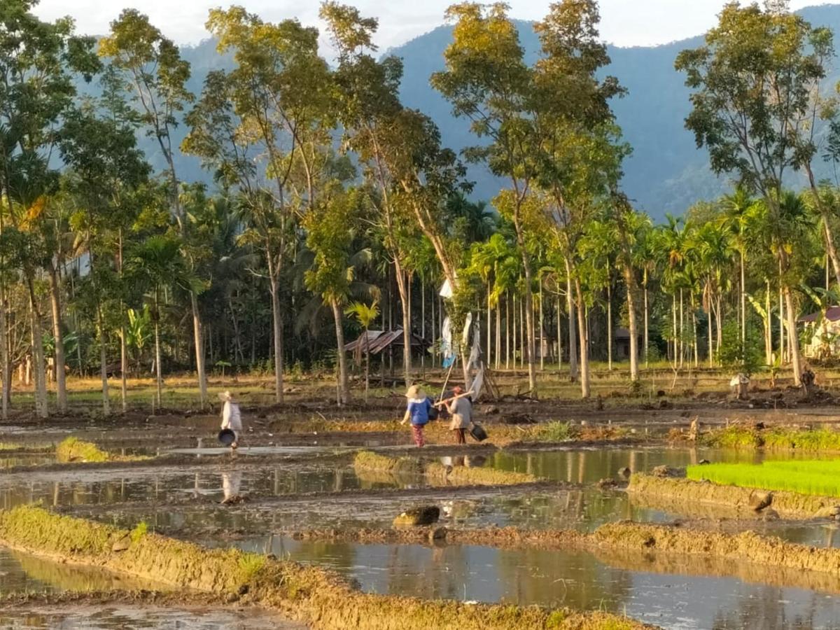 Sumatra Expedition Lodge 武吉拉旺 外观 照片
