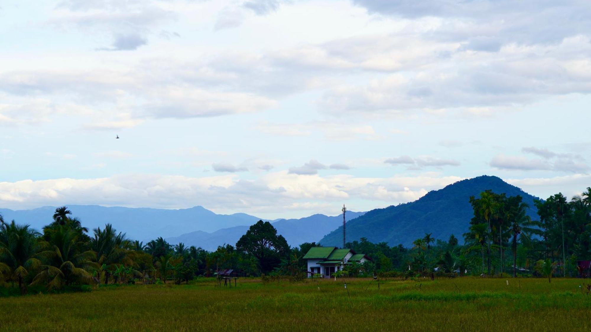 Sumatra Expedition Lodge 武吉拉旺 外观 照片