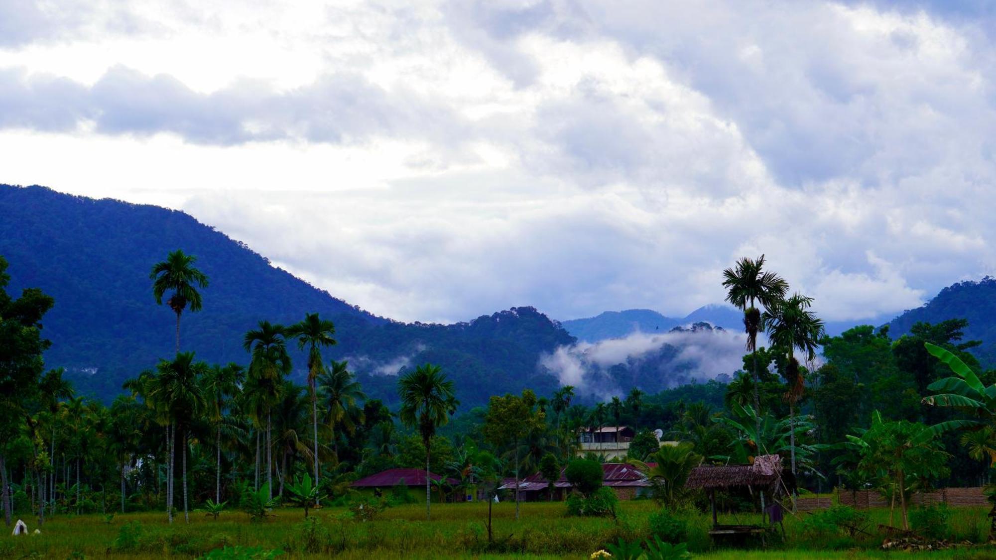 Sumatra Expedition Lodge 武吉拉旺 外观 照片