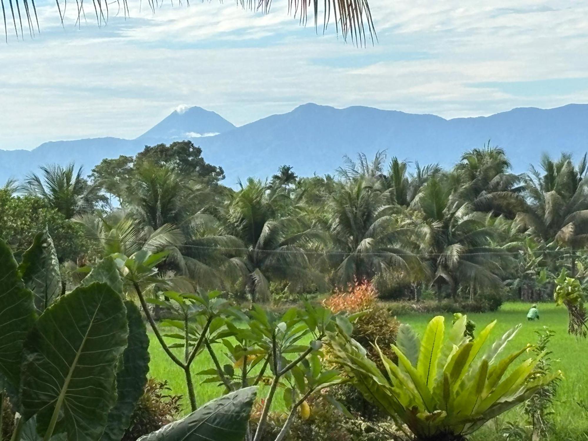 Sumatra Expedition Lodge 武吉拉旺 外观 照片