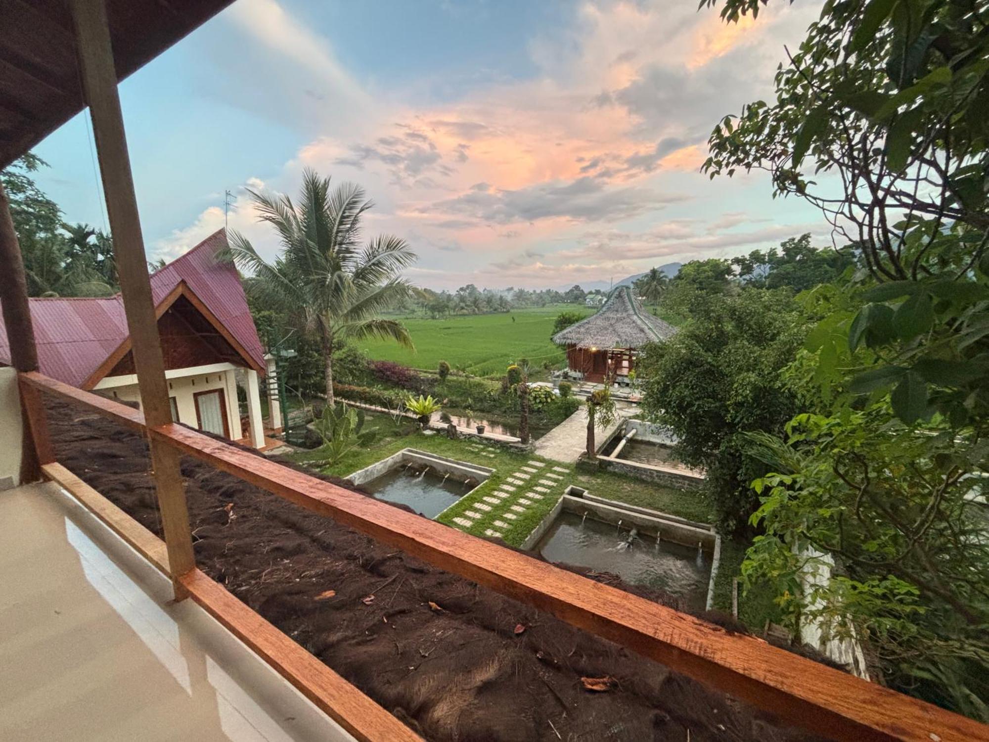Sumatra Expedition Lodge 武吉拉旺 外观 照片