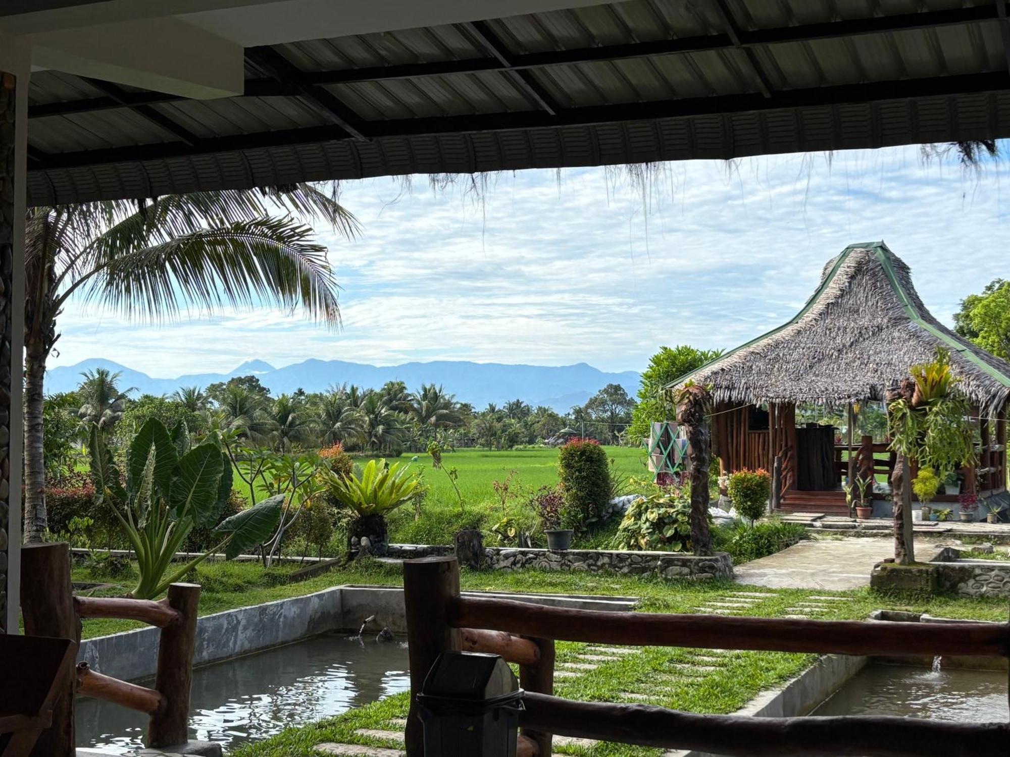 Sumatra Expedition Lodge 武吉拉旺 外观 照片