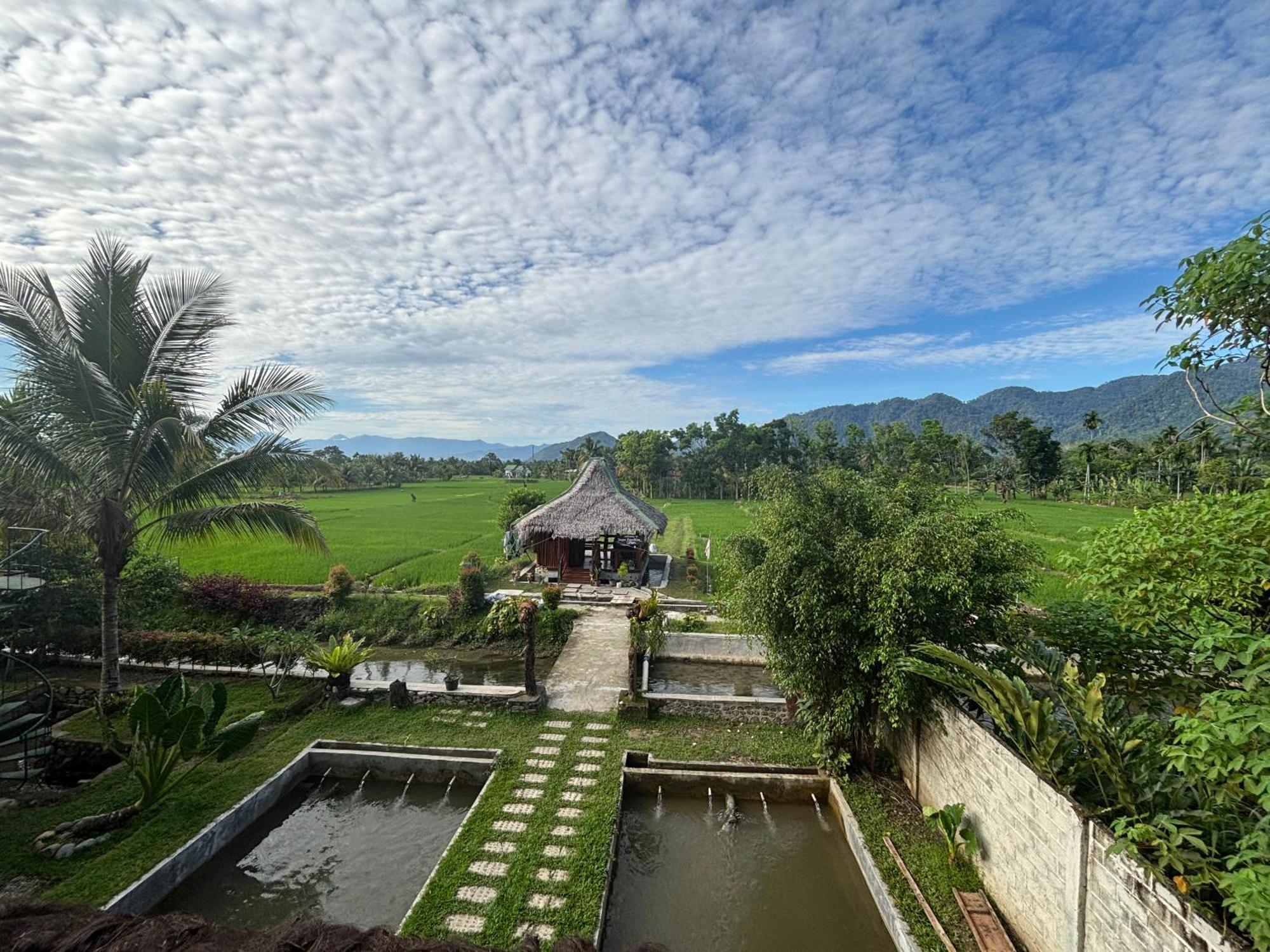 Sumatra Expedition Lodge 武吉拉旺 外观 照片